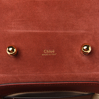 Chloe Calfskin Lizard Embossed Small Aby Lock Sepia Brown 5 of 9