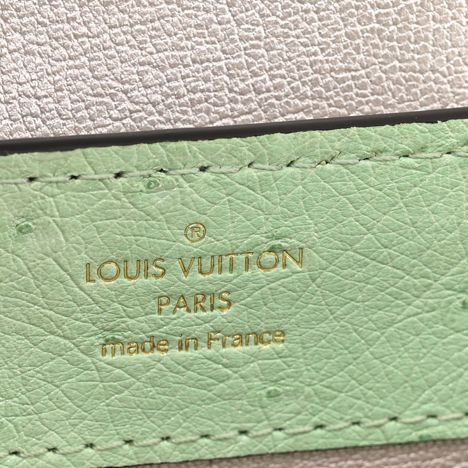 Louis Vuitton Ostrich Capucines Mini Vert Celadon 7 of 11