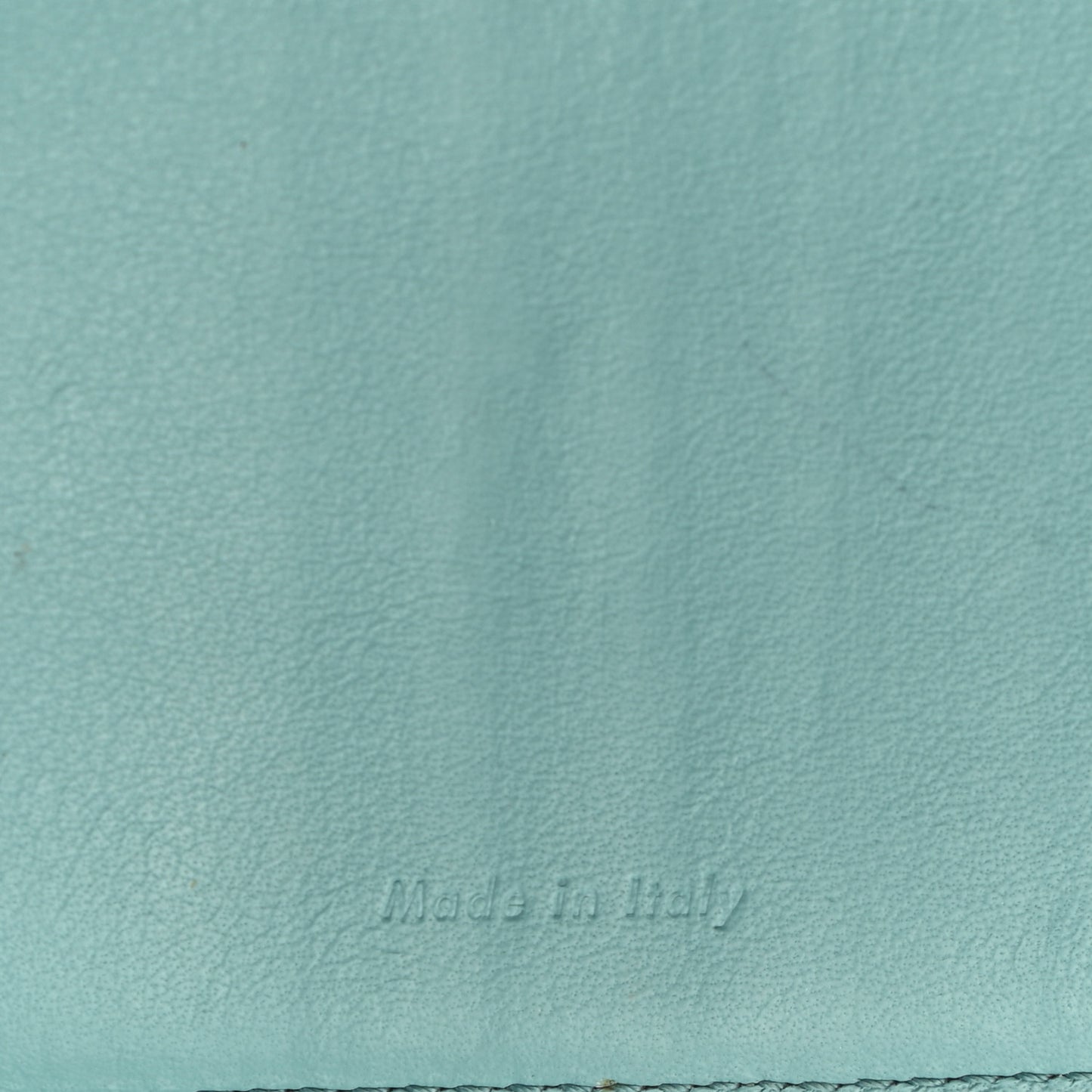 Grained Calfskin Medium Multifunction Strap Wallet Coquelicot Ocean