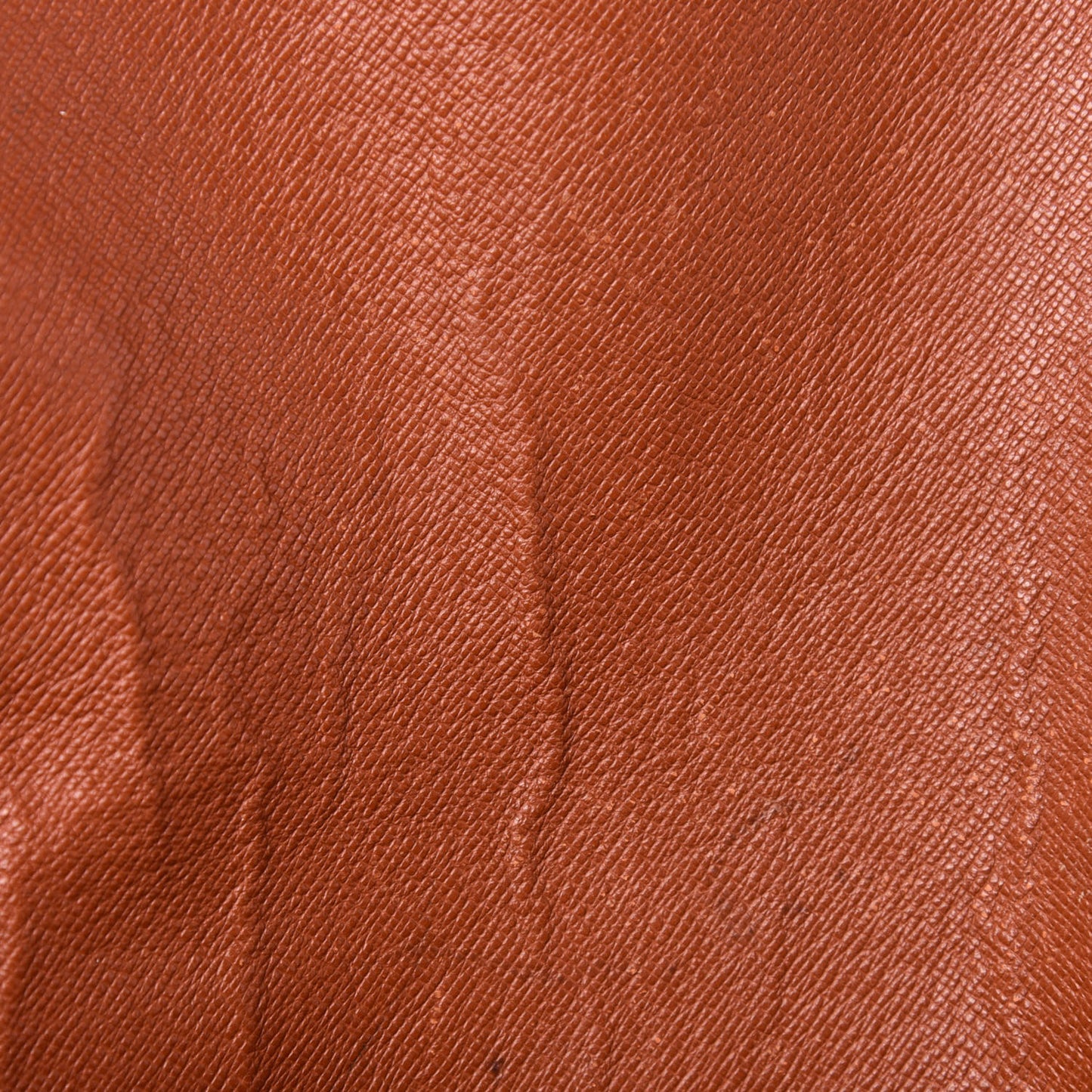 Monogram Musette Tango
