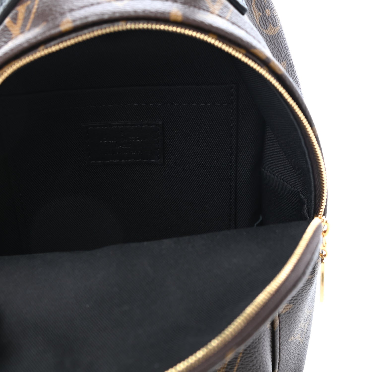 Louis Vuitton Monogram Palm Springs Backpack Mini 5 of 9