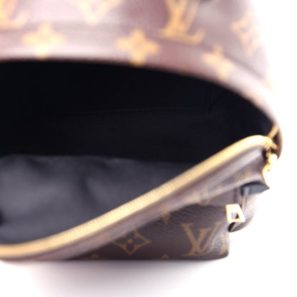 Louis Vuitton Monogram Palm Springs Backpack Mini 5 of 11