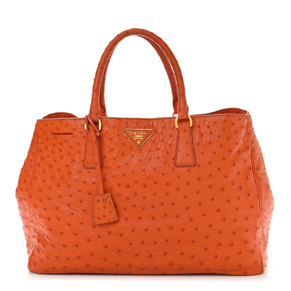 Prada Ostrich Double Zip Tote Papaya 1 of 18