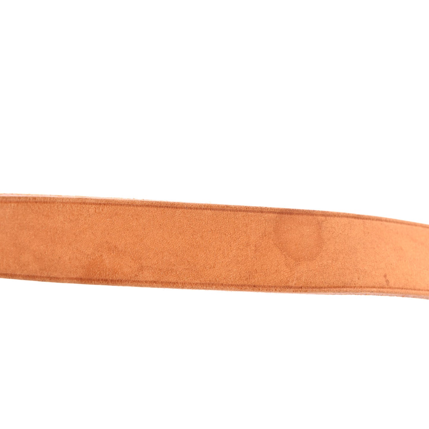 Monogram Cartouchiere 22