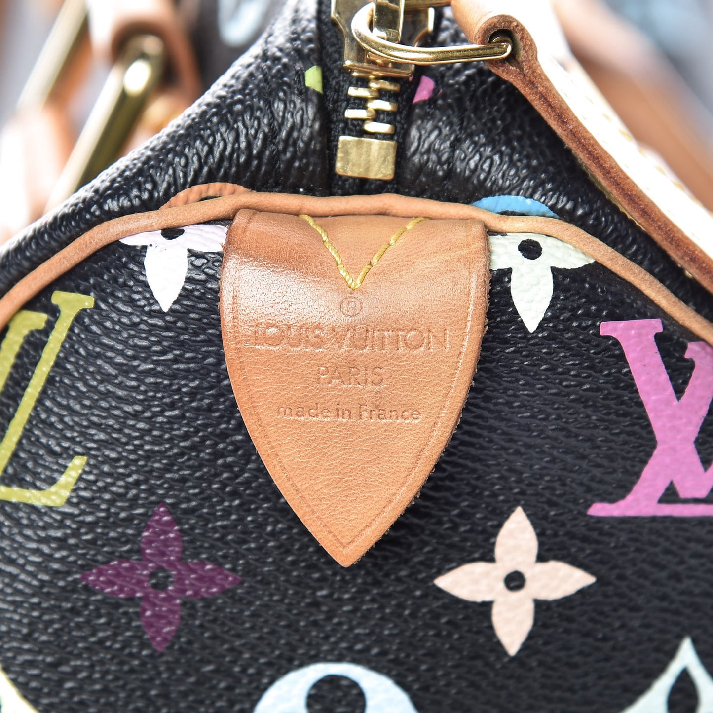 Monogram Multicolor Speedy 30 Black
