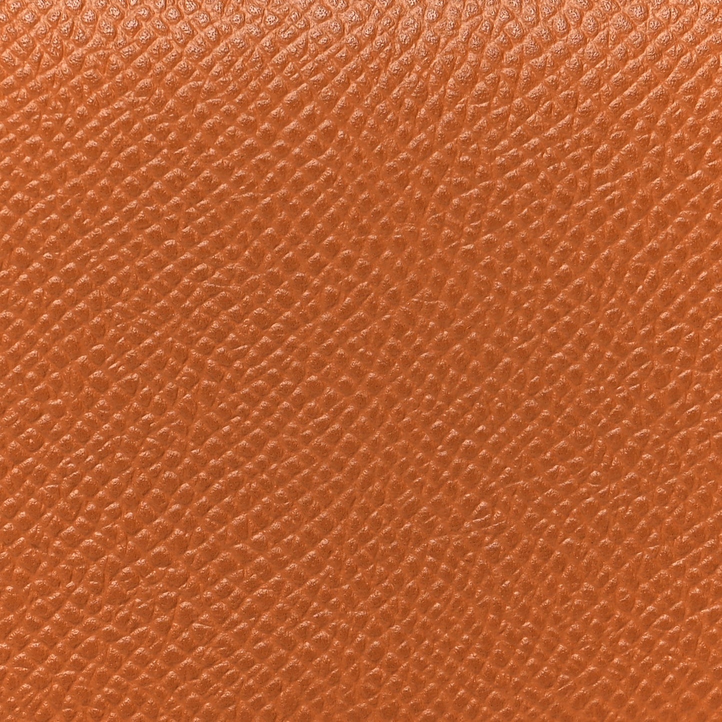 Epsom Calvi Card Case Caramel