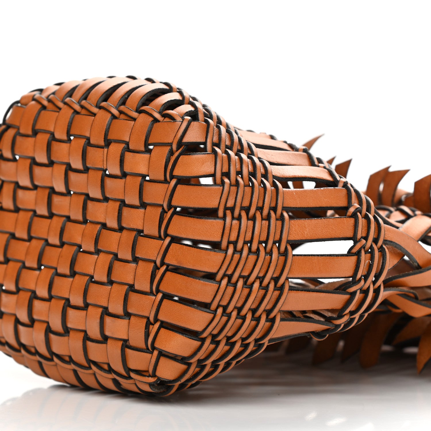Loewe Calfskin Fringe Woven Small Bucket Bag Tan 9 of 9