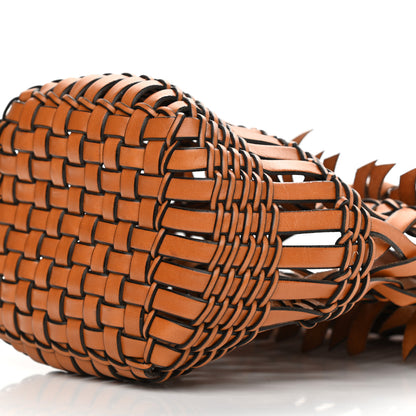Loewe Calfskin Fringe Woven Small Bucket Bag Tan 9 of 9