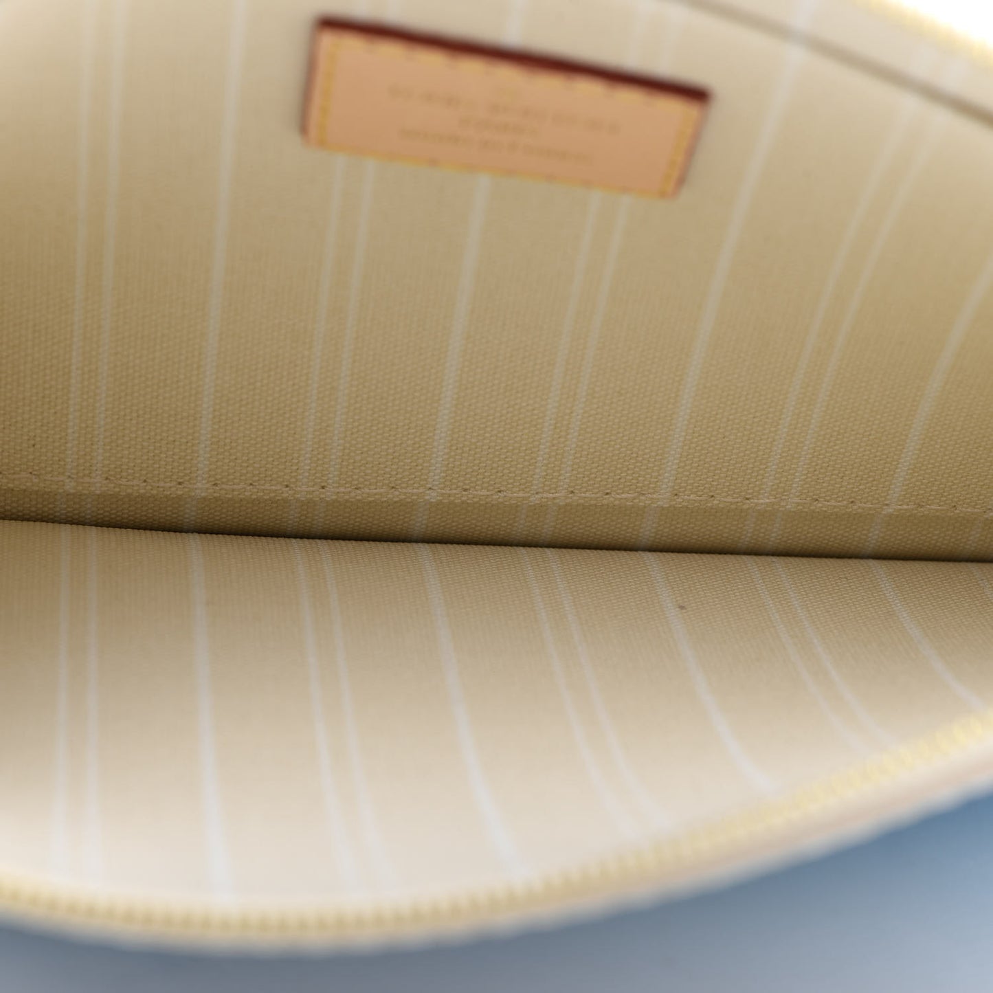 Monogram By The Pool Neverfull MM Pochette Blue