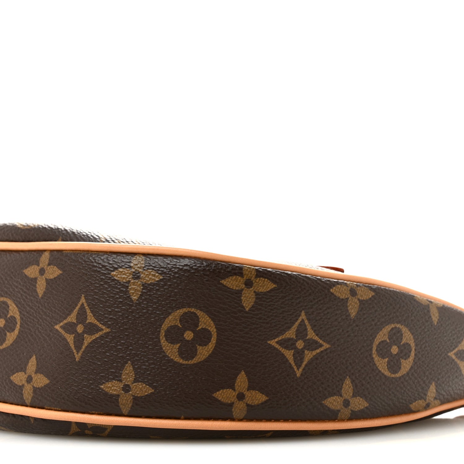 Louis Vuitton Monogram Loop 9 of 11