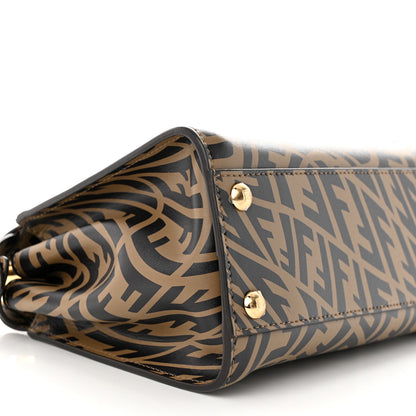 Fendi X SARAH COLEMAN Vitello Liberty Shiny Nappa Plexiglass FF Vertigo Mini Peekaboo Iconic Satchel 10 of 11