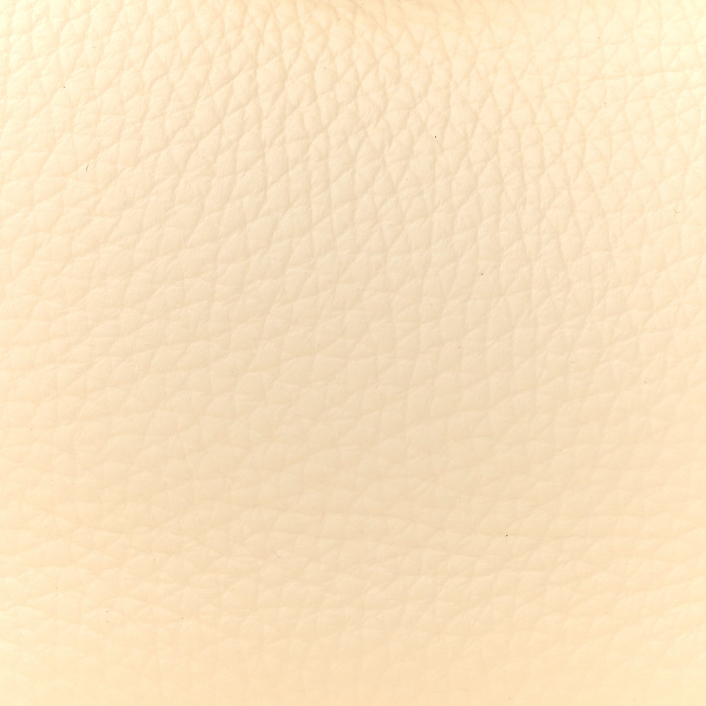 Taurillon Clemence Lindy 26 Nata