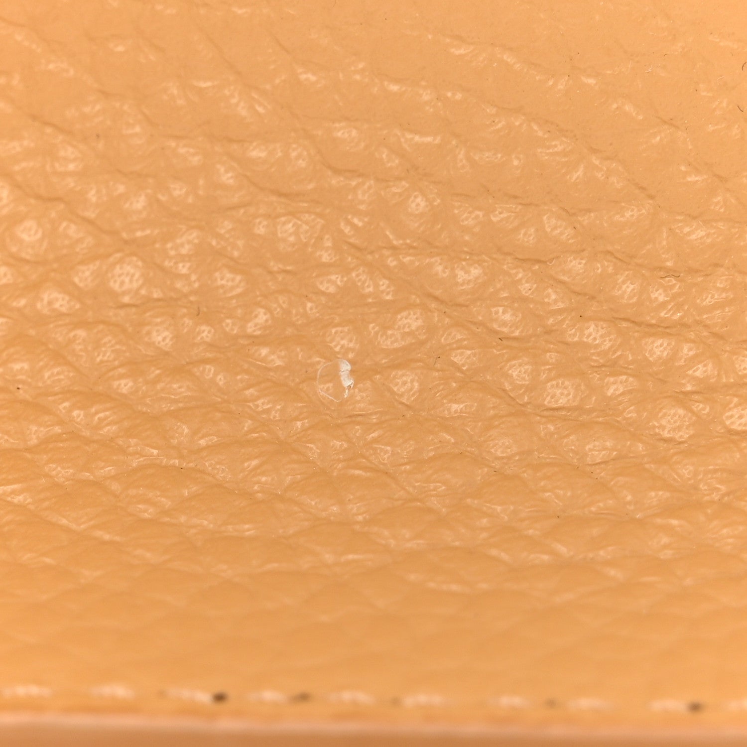 Jacquemus Grained Calfskin Le Grand Chiquito Camel 14 of 14