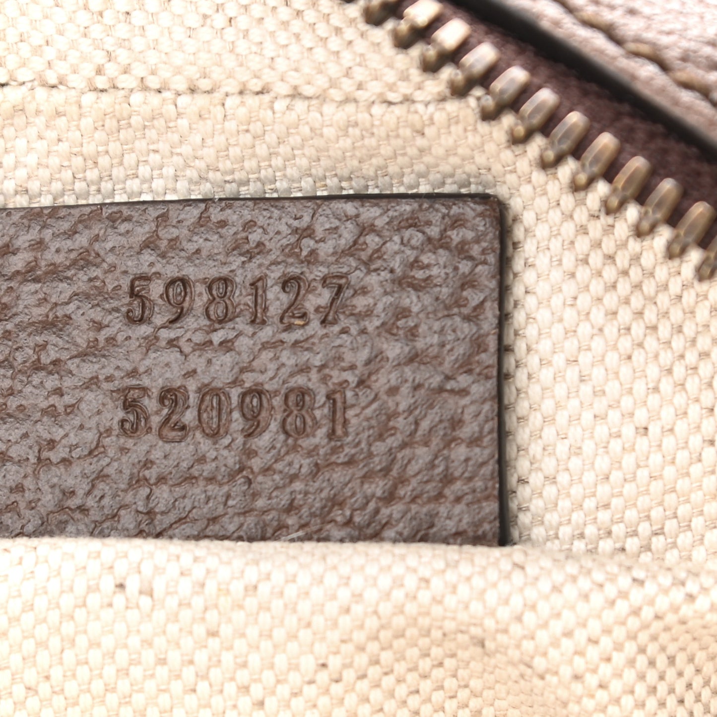GG Supreme Monogram Web Mini Ophidia Messenger Brown