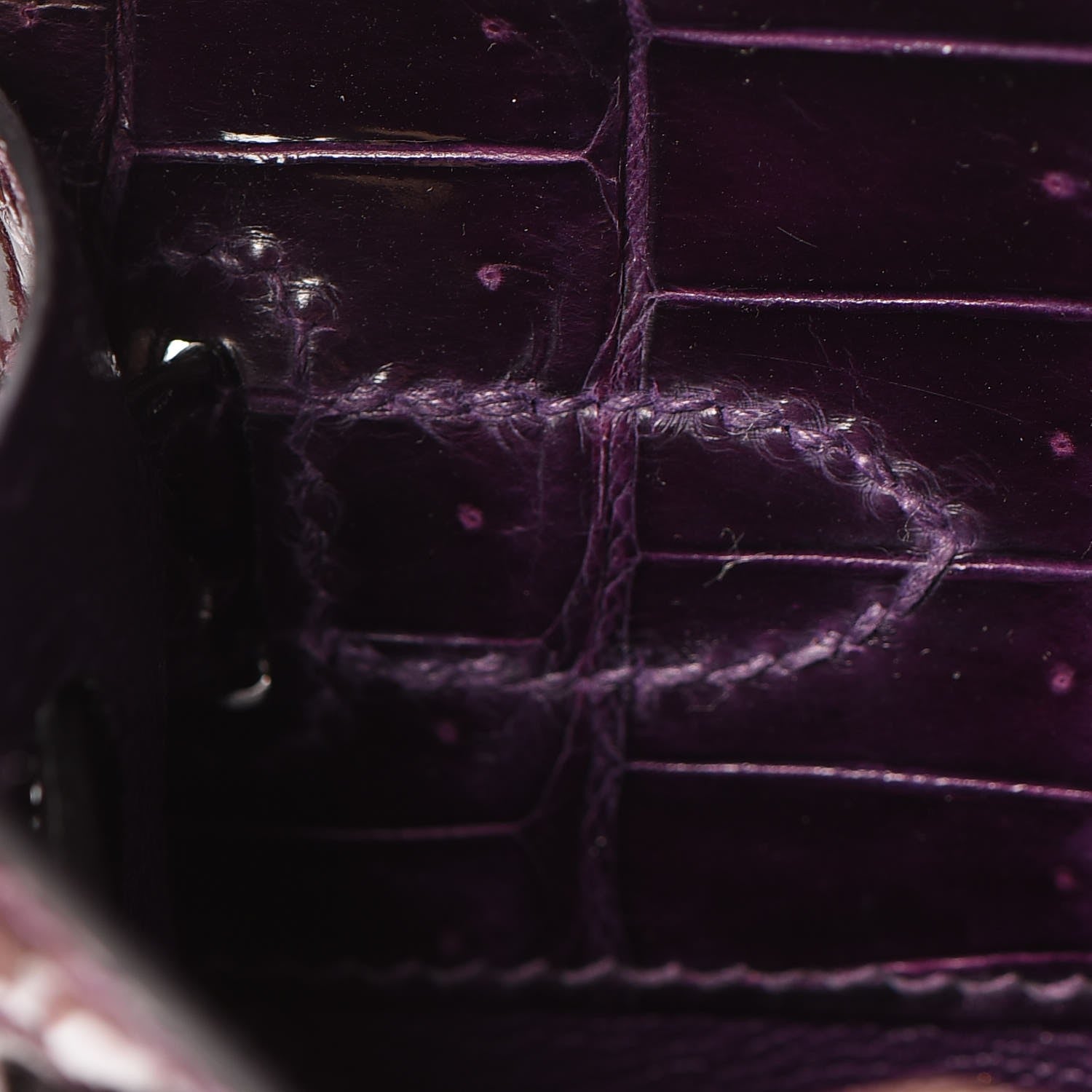 Hermes Shiny Porosus Crocodile Kelly Cut Pochette Aubergine 19 of 23