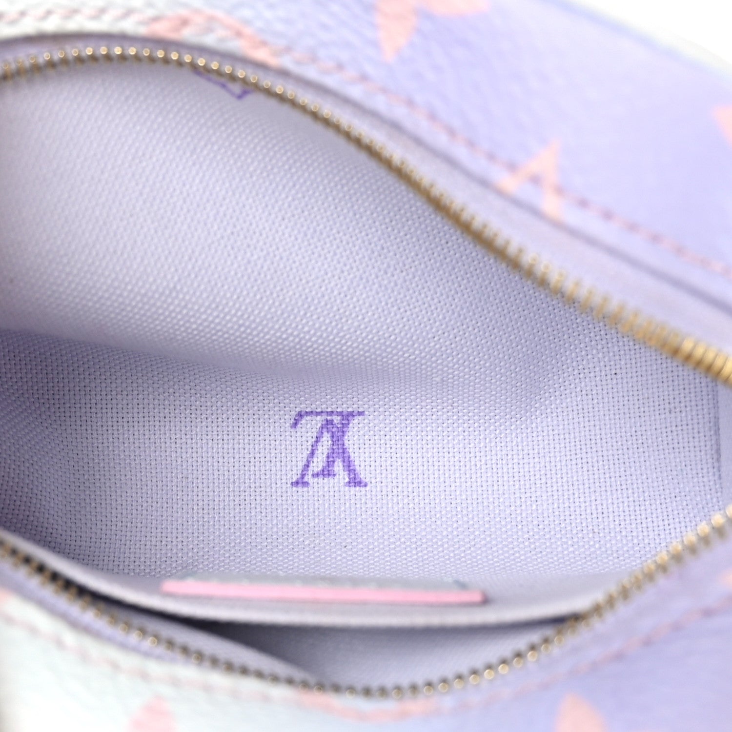 Louis Vuitton LOUIS VUITTON Monogram Giant Spring In The City Wapity Case Sunrise Pastel 5 of 8