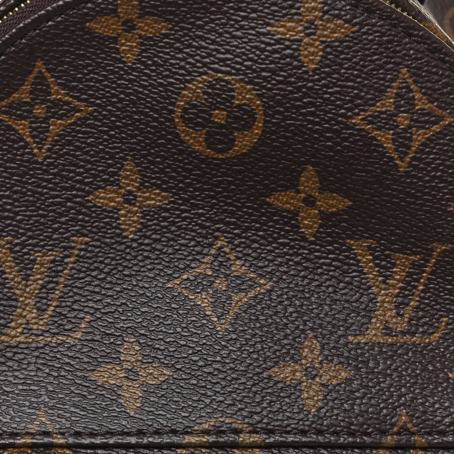 Monogram Palm Springs Backpack Mini
