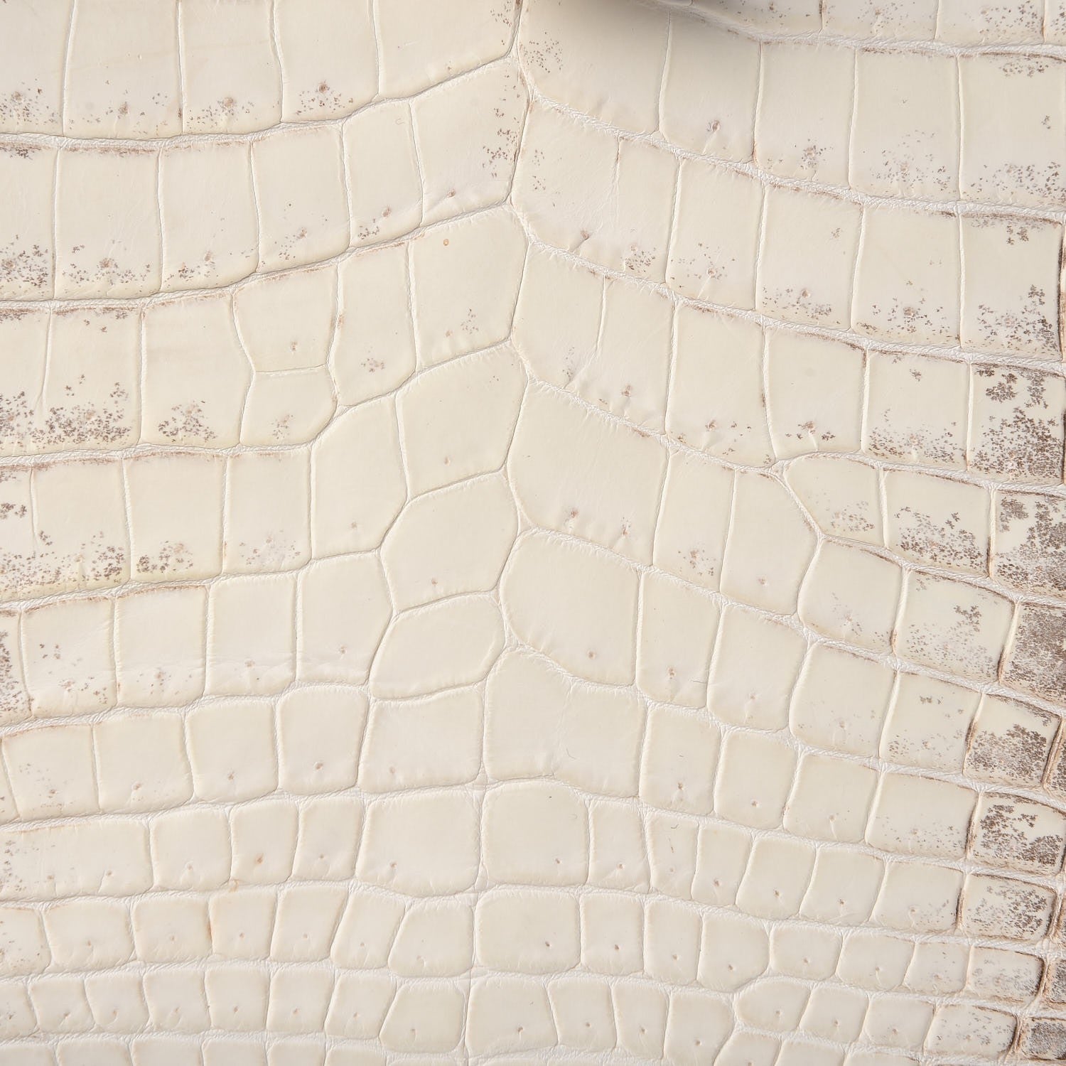 Hermes Matte Niloticus Crocodile Himalaya Birkin 30 Blanc 47 of 49