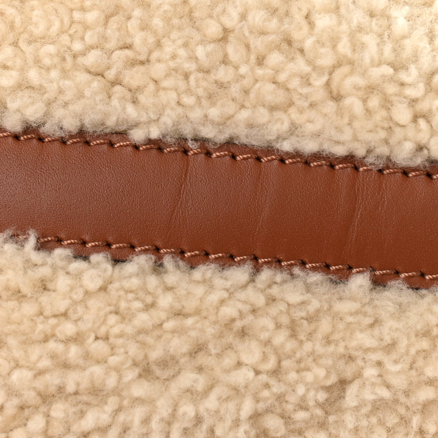 Monogram Teddy Speedy Bandouliere 25