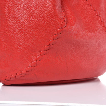 Bottega Veneta Cervo Deerskin Large Hobo Fever 10 of 10