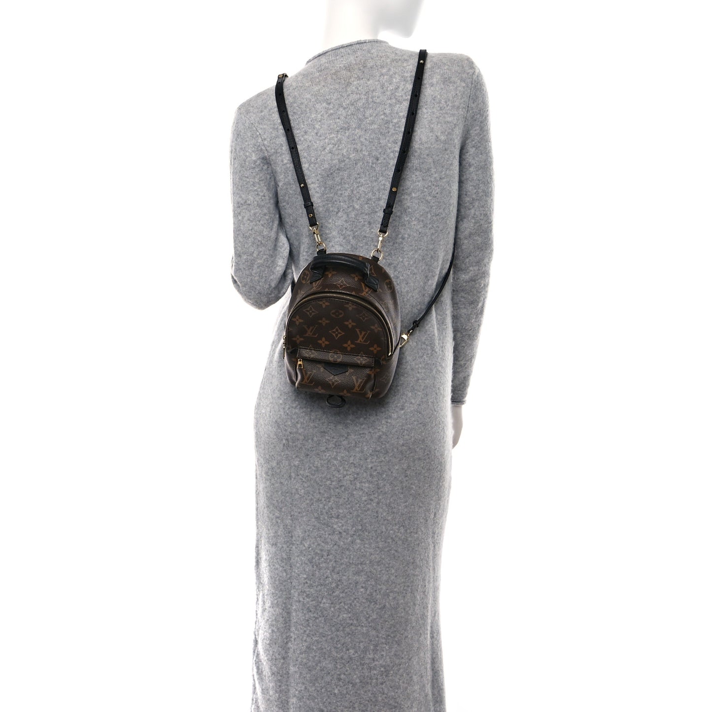 Monogram Palm Springs Backpack Mini