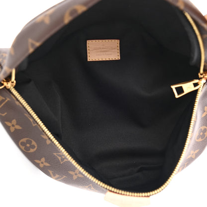 Louis Vuitton Monogram Bumbag 5 of 11