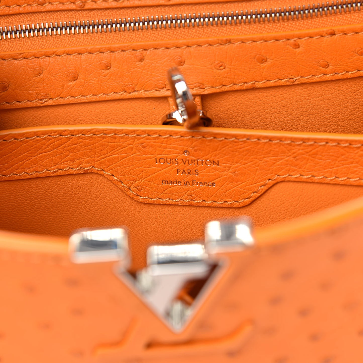 Ostrich Capucines BB Marigold