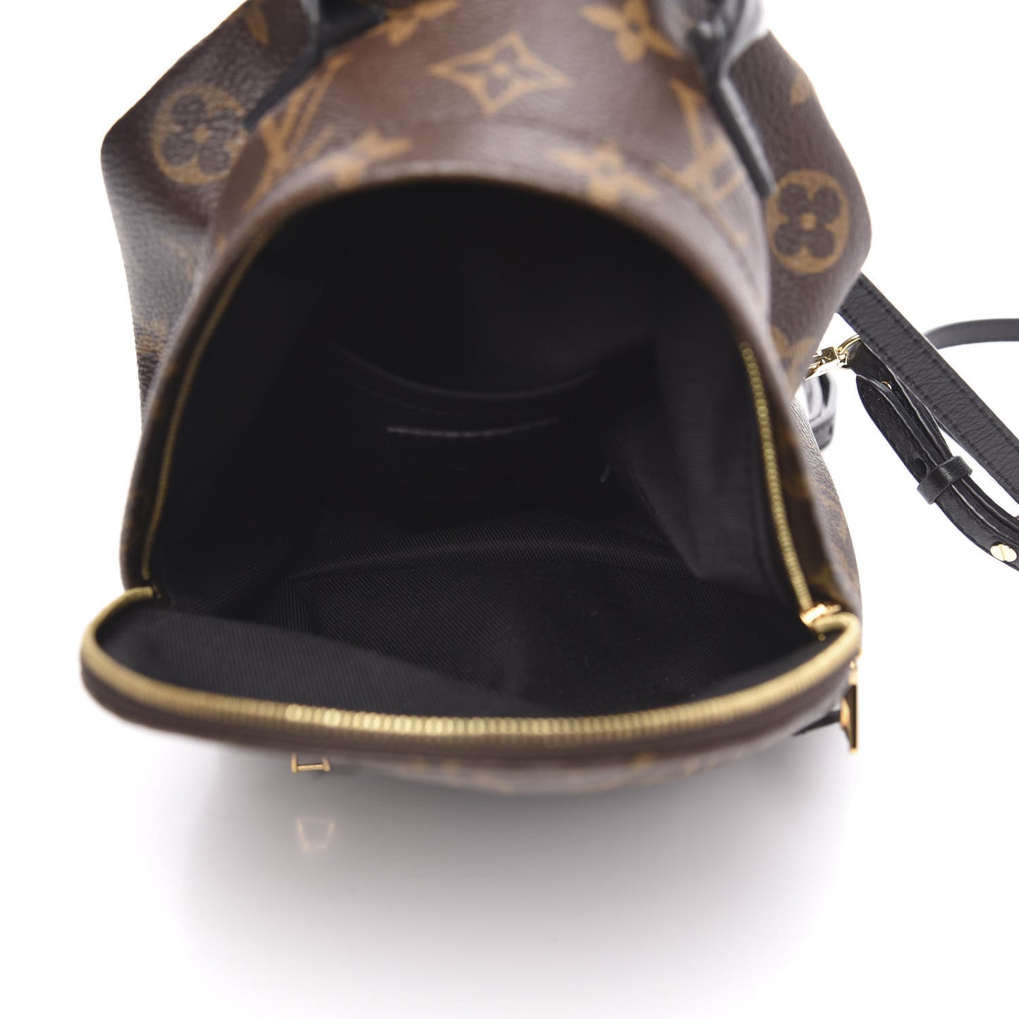 Monogram Palm Springs Backpack Mini