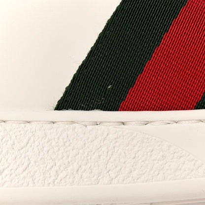 Gucci Calfskin Crocodile Web Mens Ace Sneakers 8 White Green 10 of 16