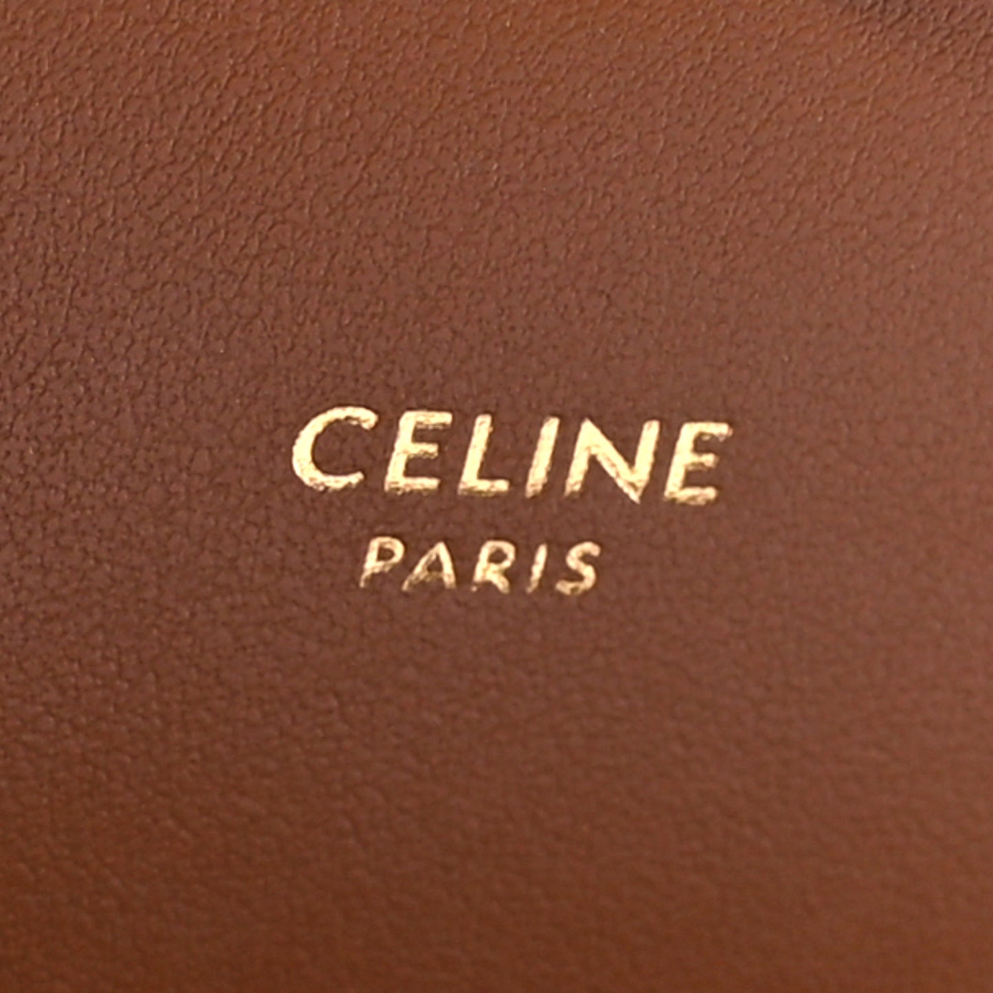 Triomphe Canvas Multipochette Tan