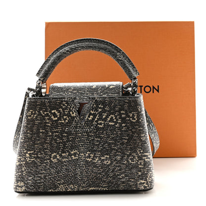 Louis Vuitton Lizard Mini Capucines Argento 10 of 10