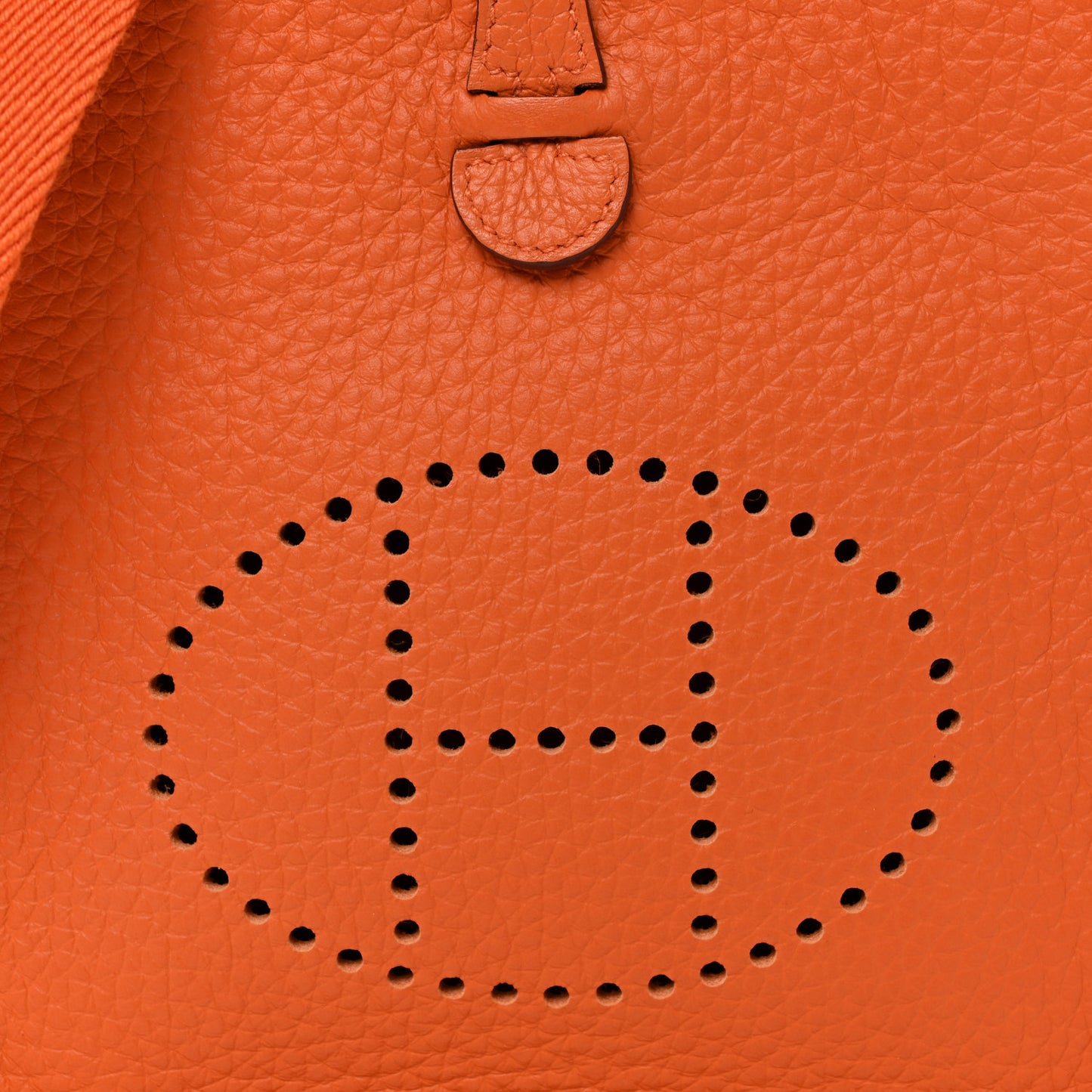 Taurillon Clemence Evelyne TPM Orange