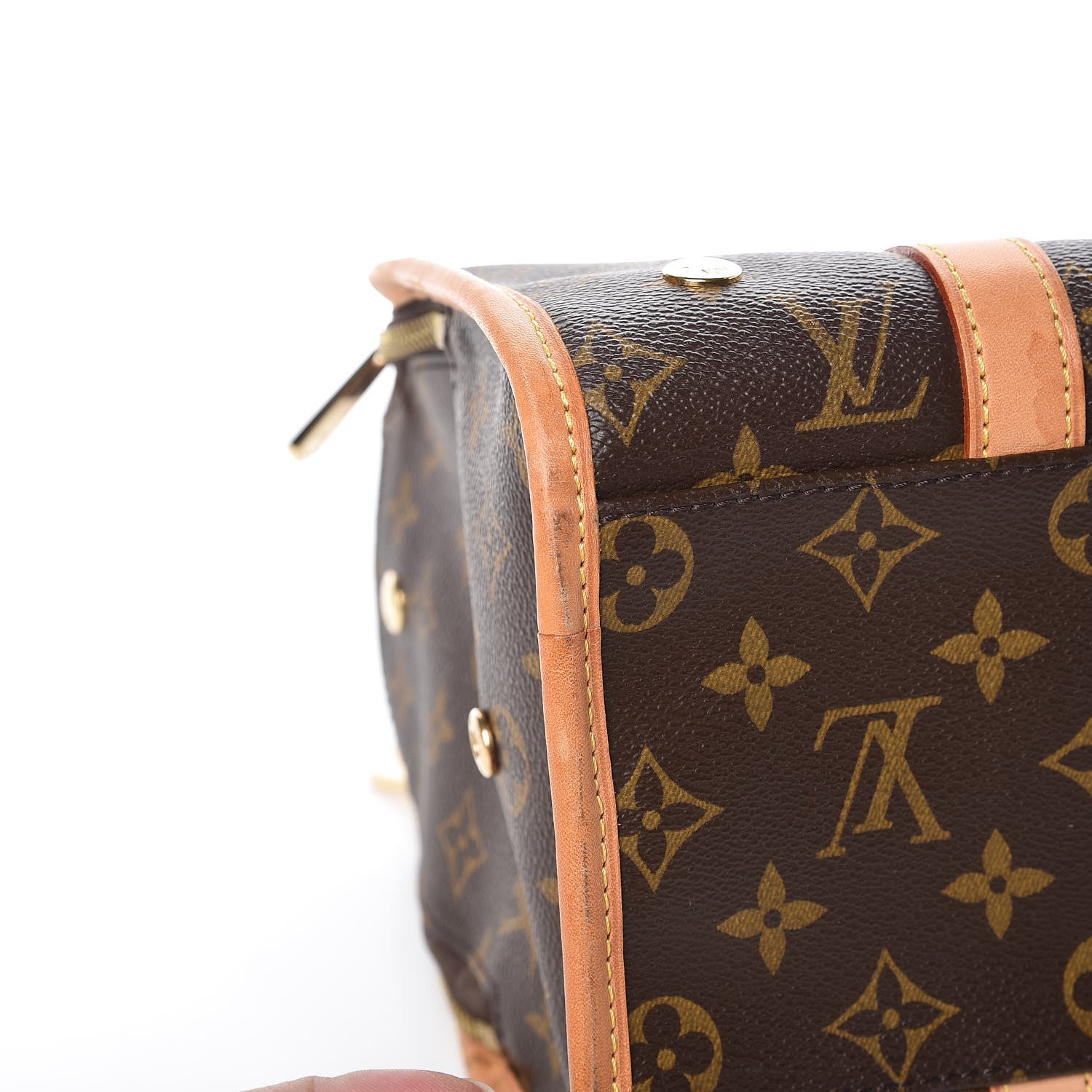 Louis Vuitton Monogram Baxter PM Dog Pet Carrier 11 of 12