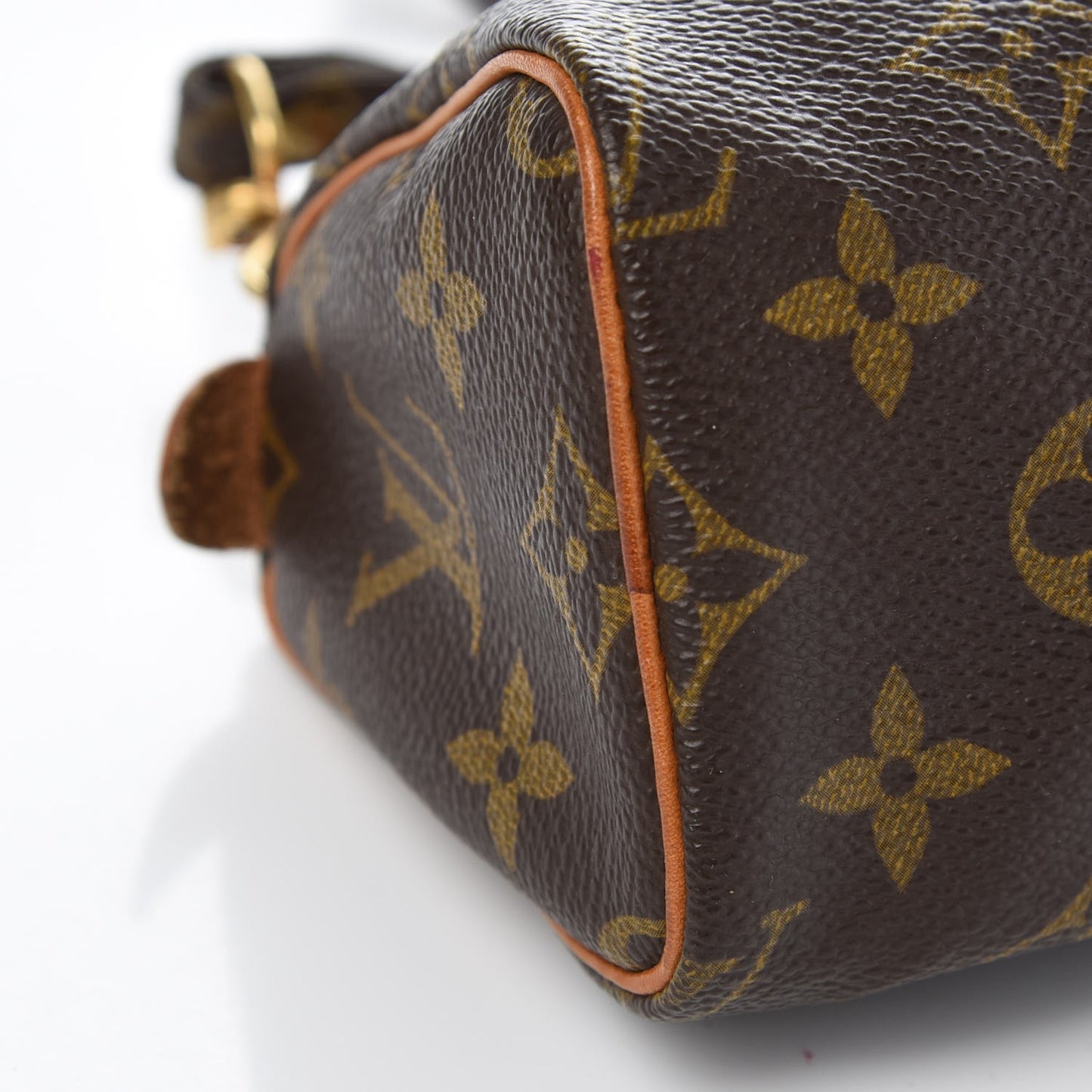 Monogram Mini Sac HL Speedy