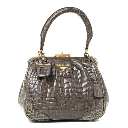 Prada Crocodile Frame Shoulder Bag Grigio 1 of 13