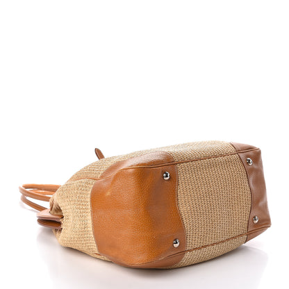 Prada Paglia Cinghiale Frame Bag Naturale Cuoio 4 of 9