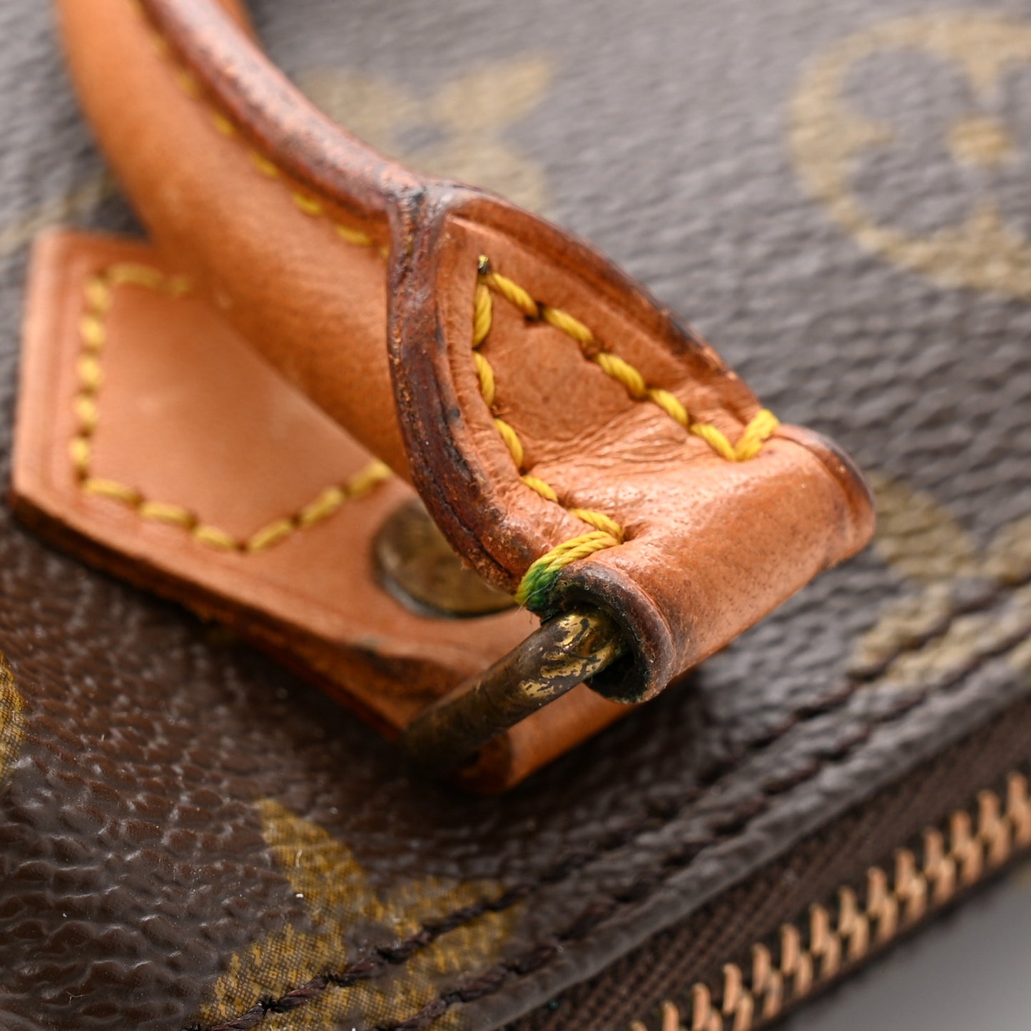 Monogram Mini Sac HL Speedy