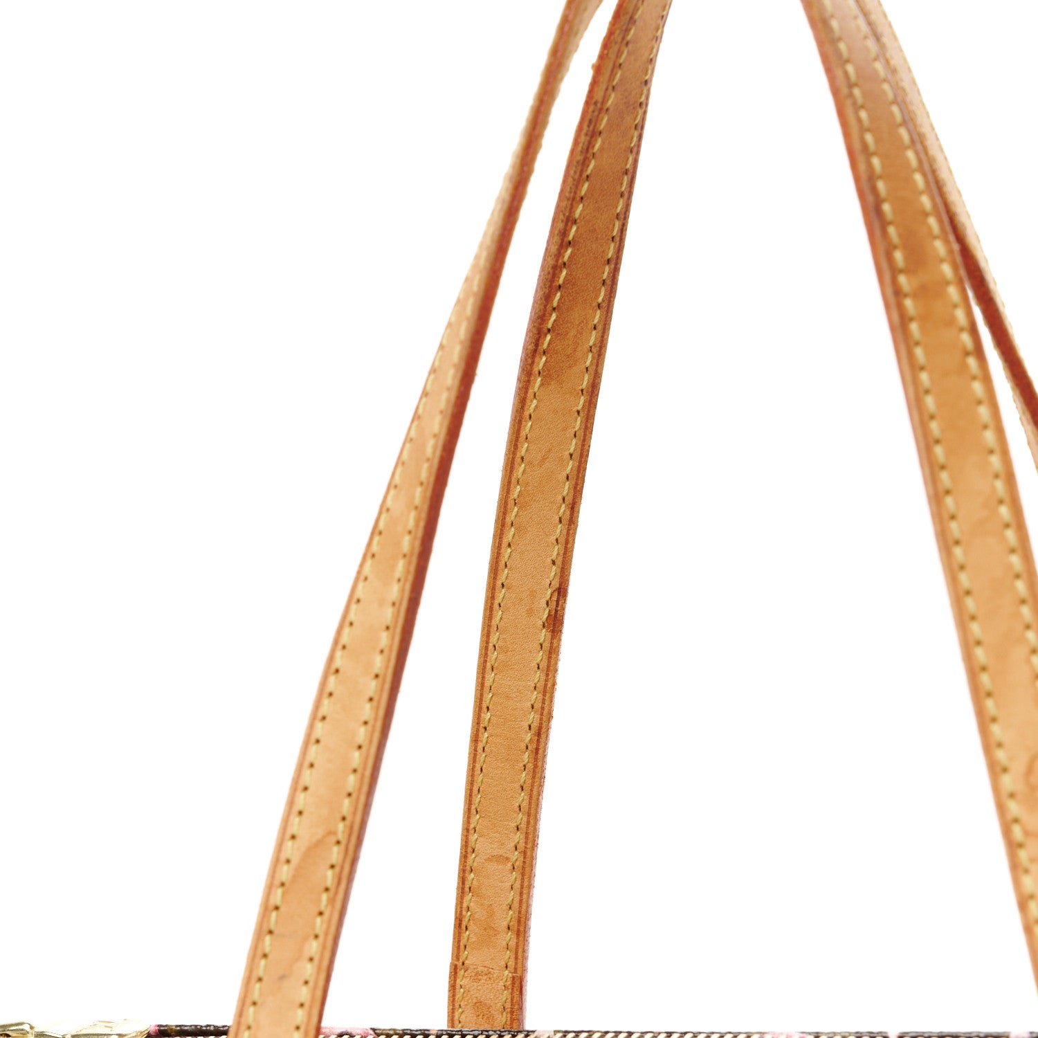 Louis Vuitton Watercolor Aquarelle Papillon 13 of 14