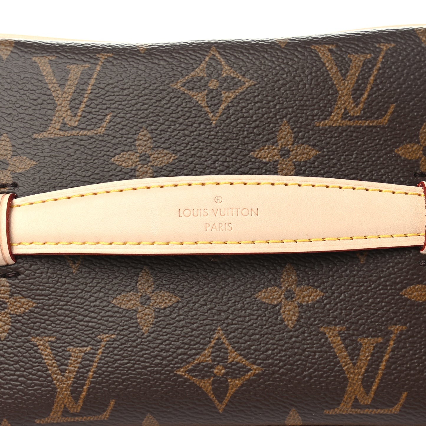 Monogram Nice Mini