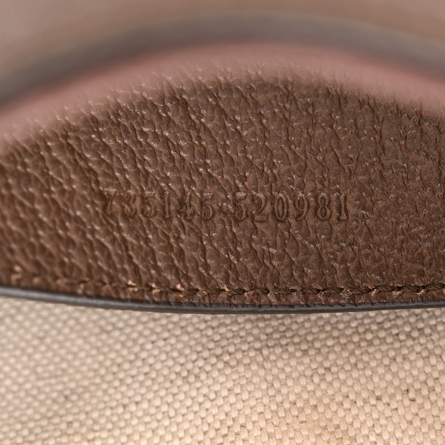 GG Supreme Monogram Textured Dollar Calfskin Small Ophidia Hobo Beige Ebony New Acero