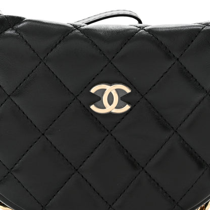 Chanel Quilted Chain Around Pouch Black 7 of 10