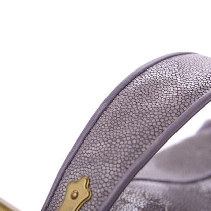 Bottega Veneta Stingray Cocker Hobo Parma 12 of 12