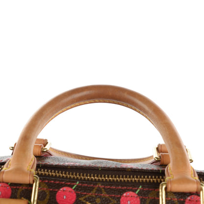 Louis Vuitton Monogram Cerises Speedy 25 8 of 9