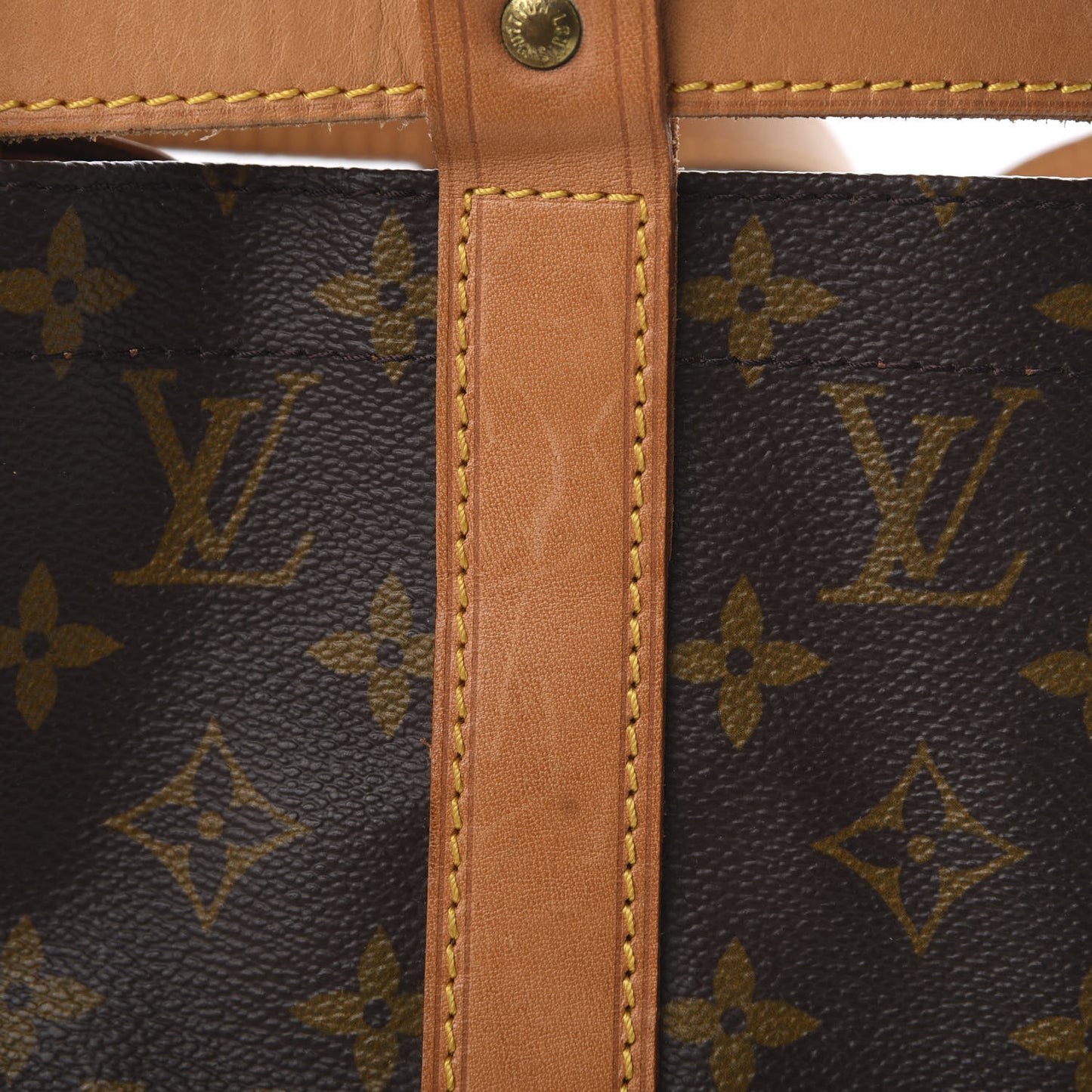 Monogram Randonnee GM Backpack
