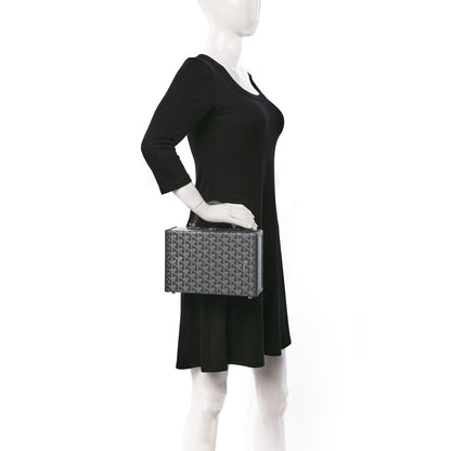 Goyard Goyardine Grand Hotel Trunk Bag Grey 2 of 9