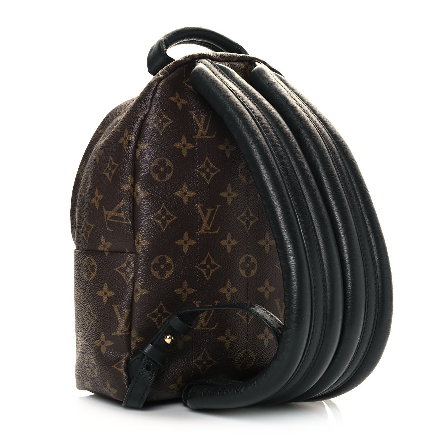 Louis Vuitton Monogram Palm Springs Backpack PM 3 of 10
