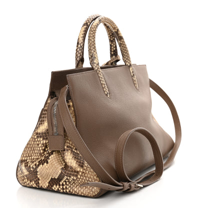 Saint Laurent Grained Calfskin Snakeskin Small Cabas Rive Gauche Taupe 3 of 19