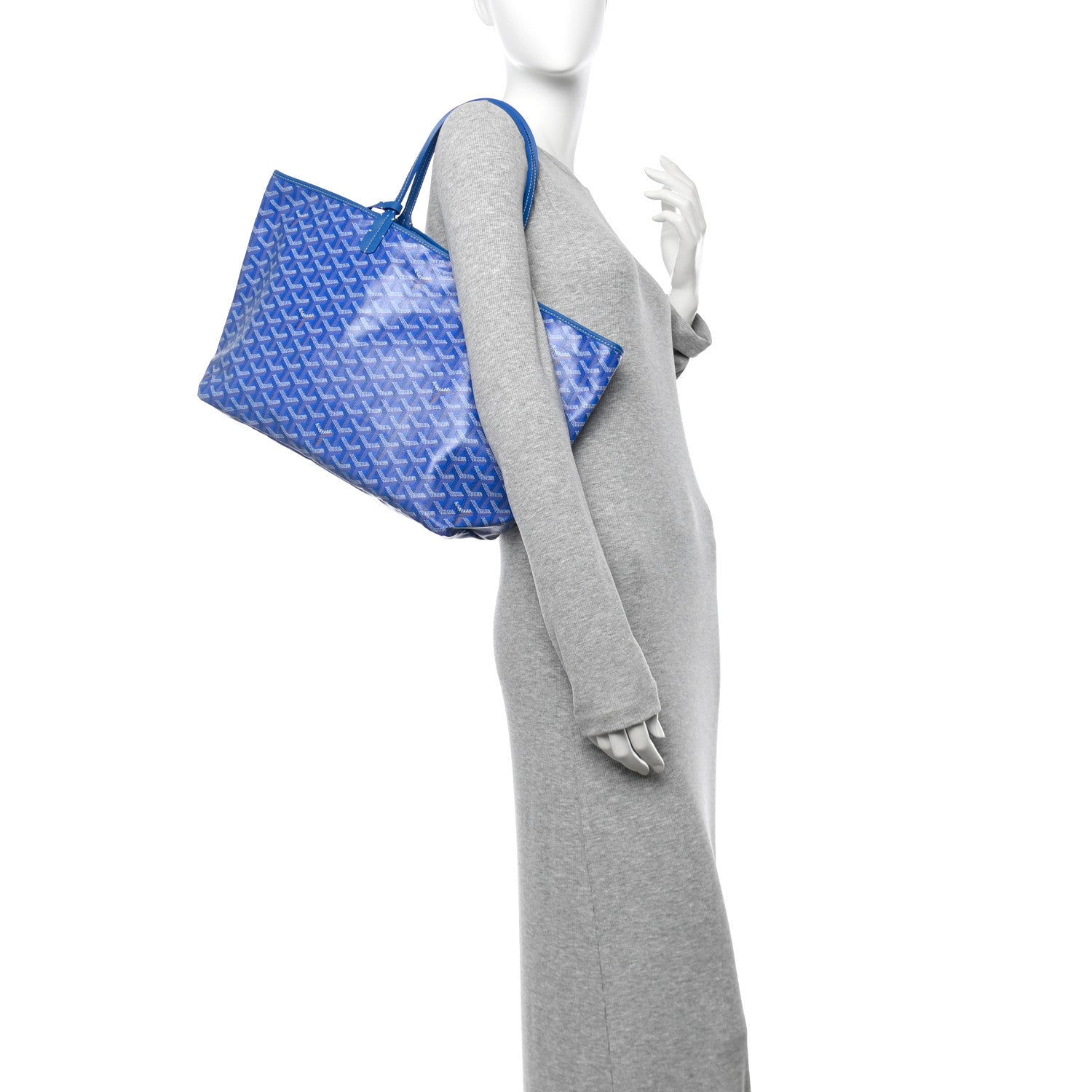 Goyard Goyardine Saint Louis PM Sky Blue 2 of 11