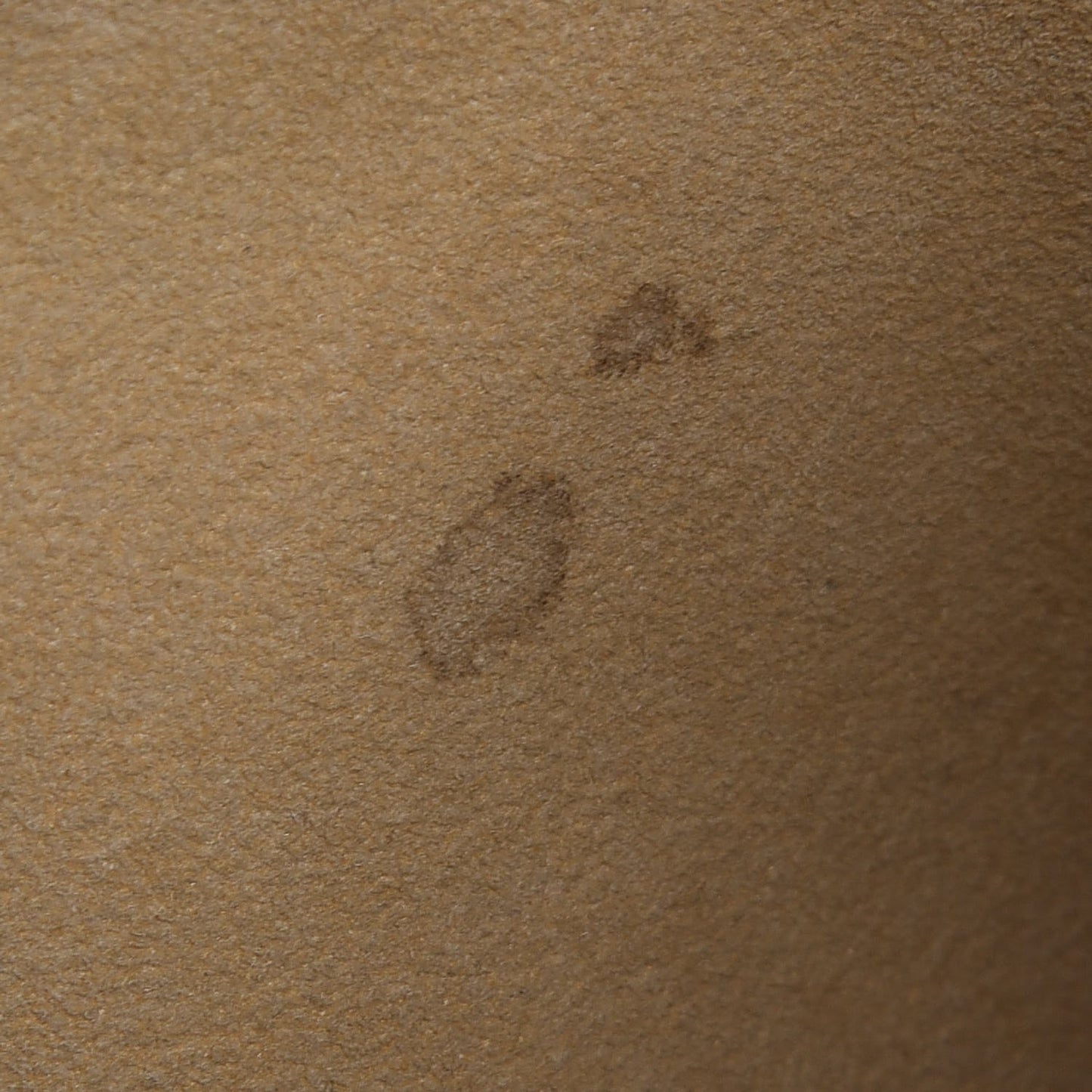 Monogram Galliera PM