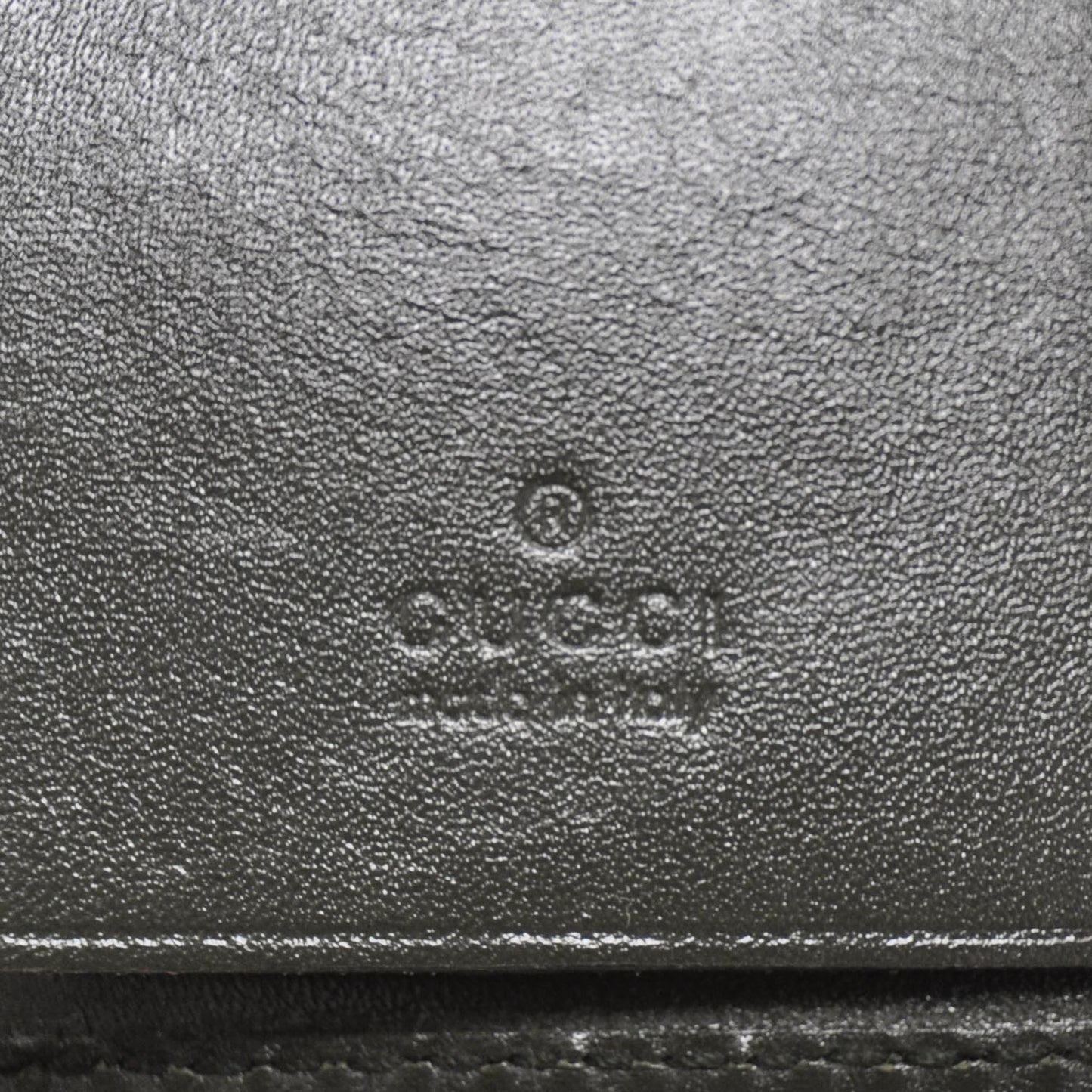 Imprime Monogram Key Case